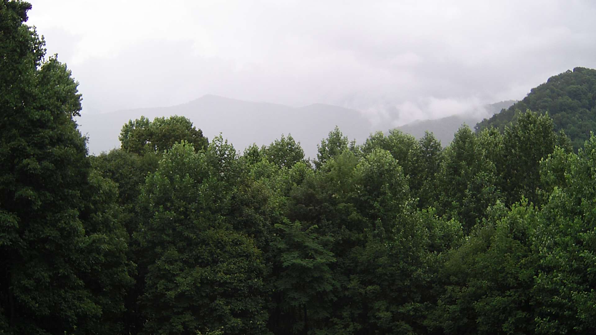 click for next image... slideshow image