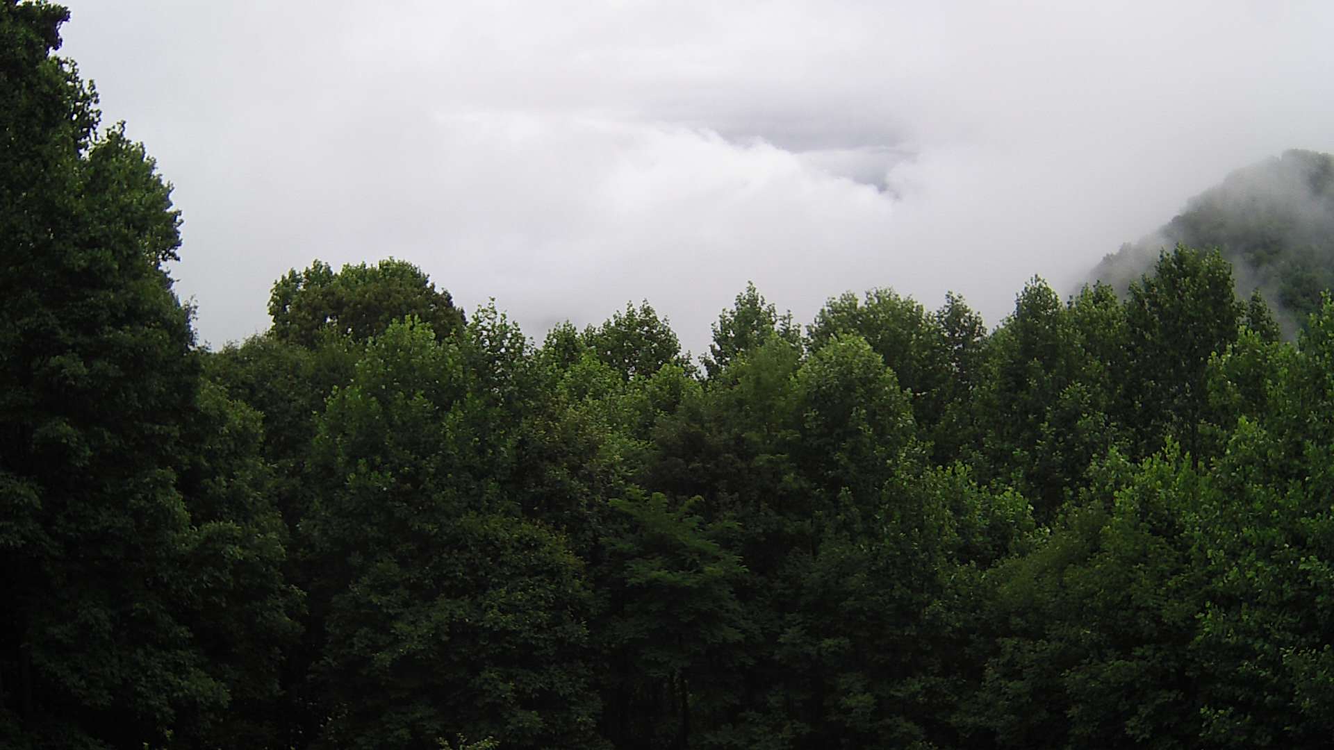 click for next image... slideshow image