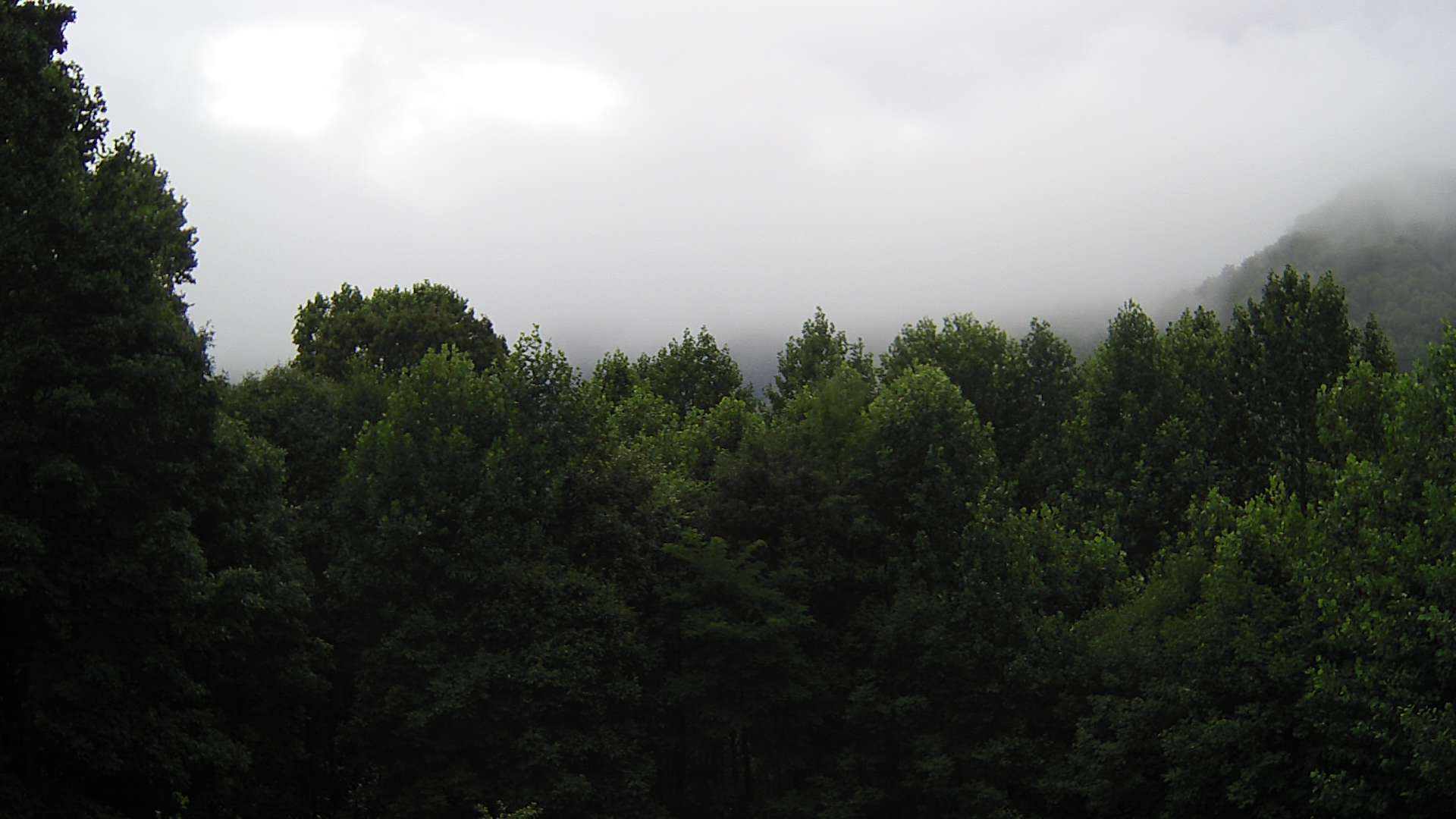 click for next image... slideshow image