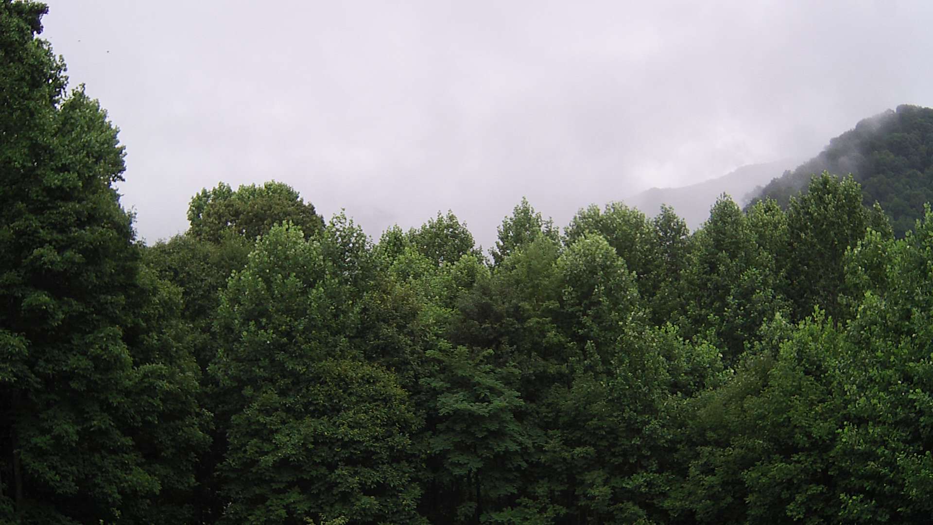 click for next image... slideshow image