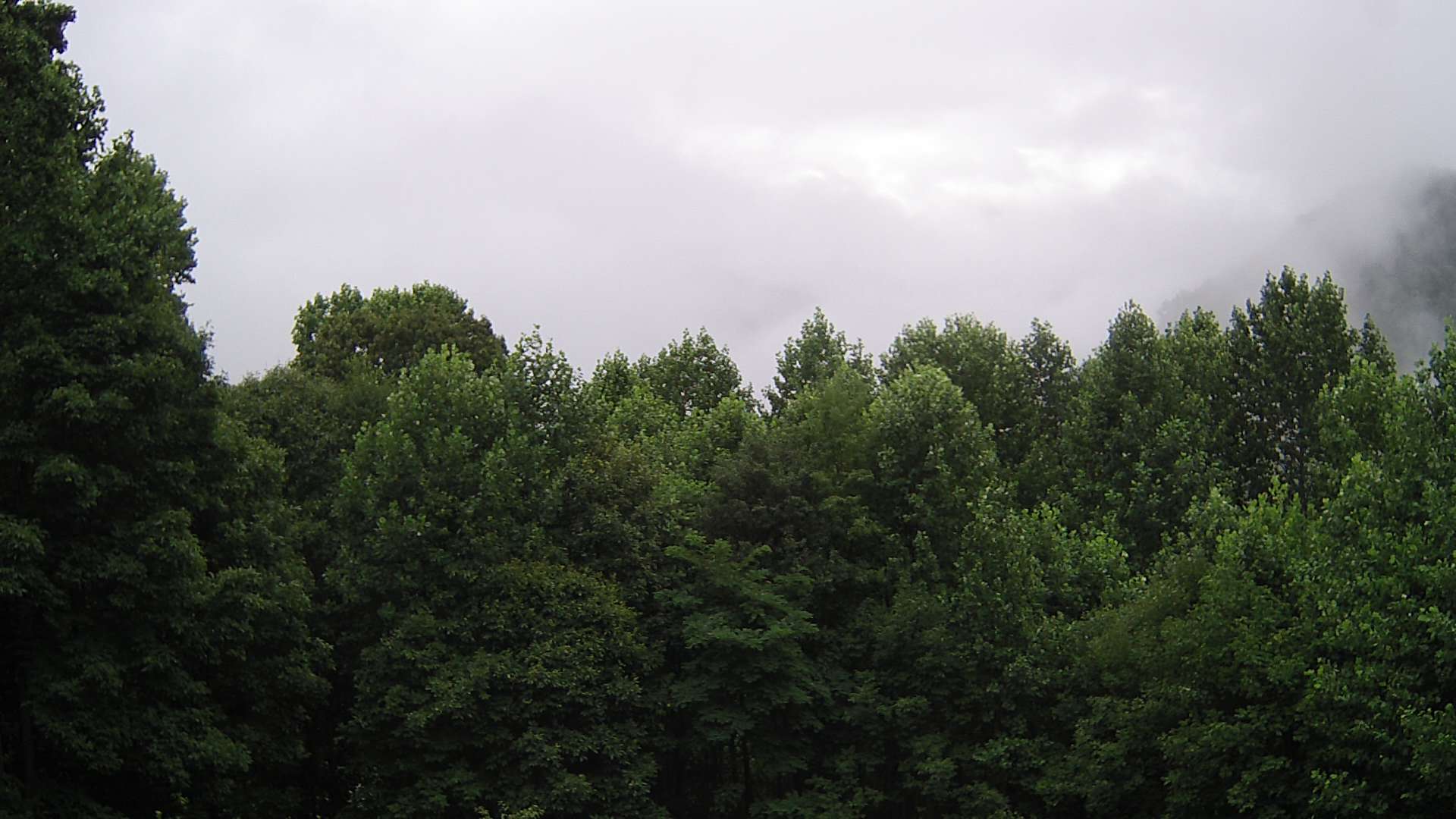 click for next image... slideshow image