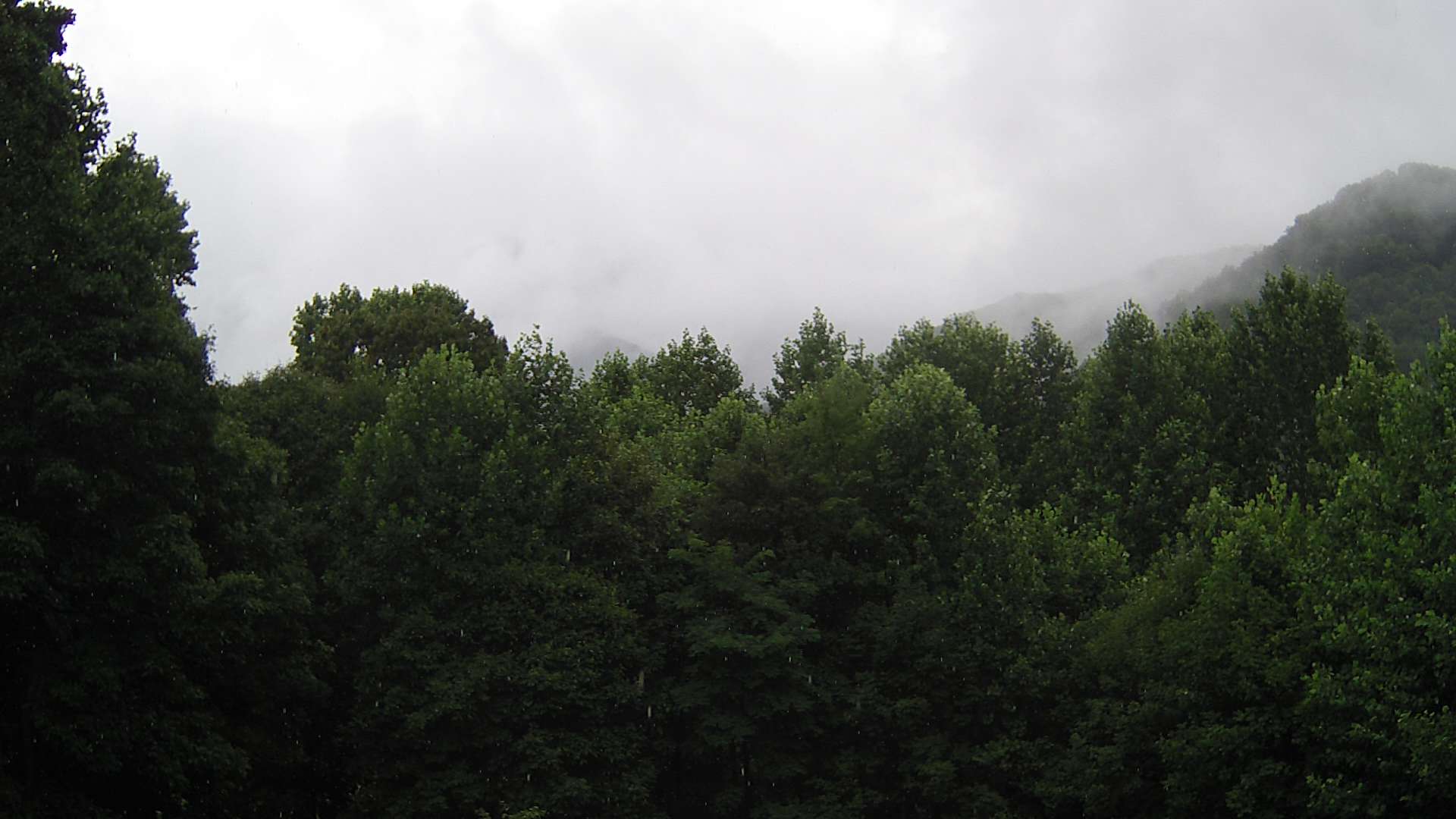 click for next image... slideshow image