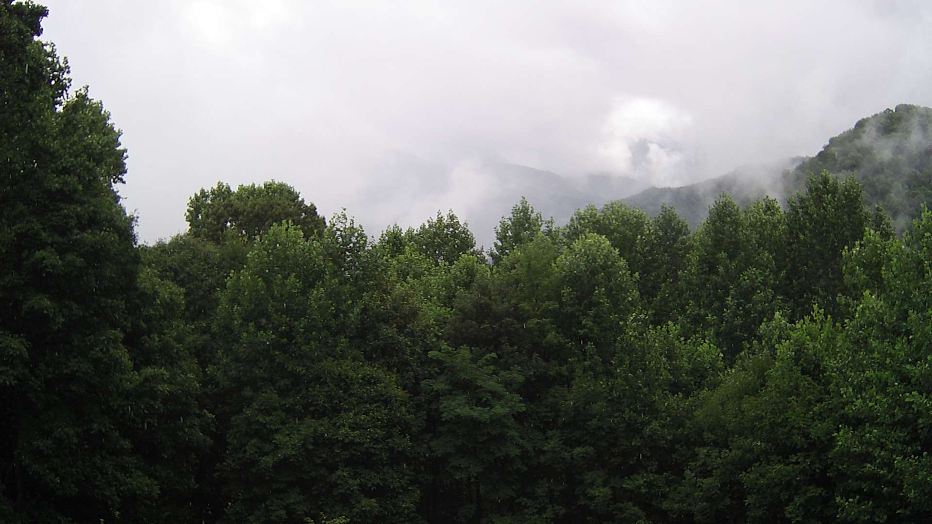 click for next image... slideshow image