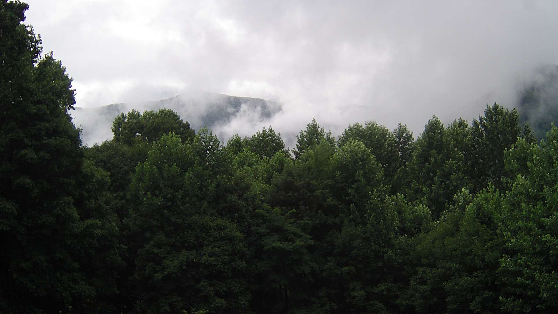 click for next image... slideshow image