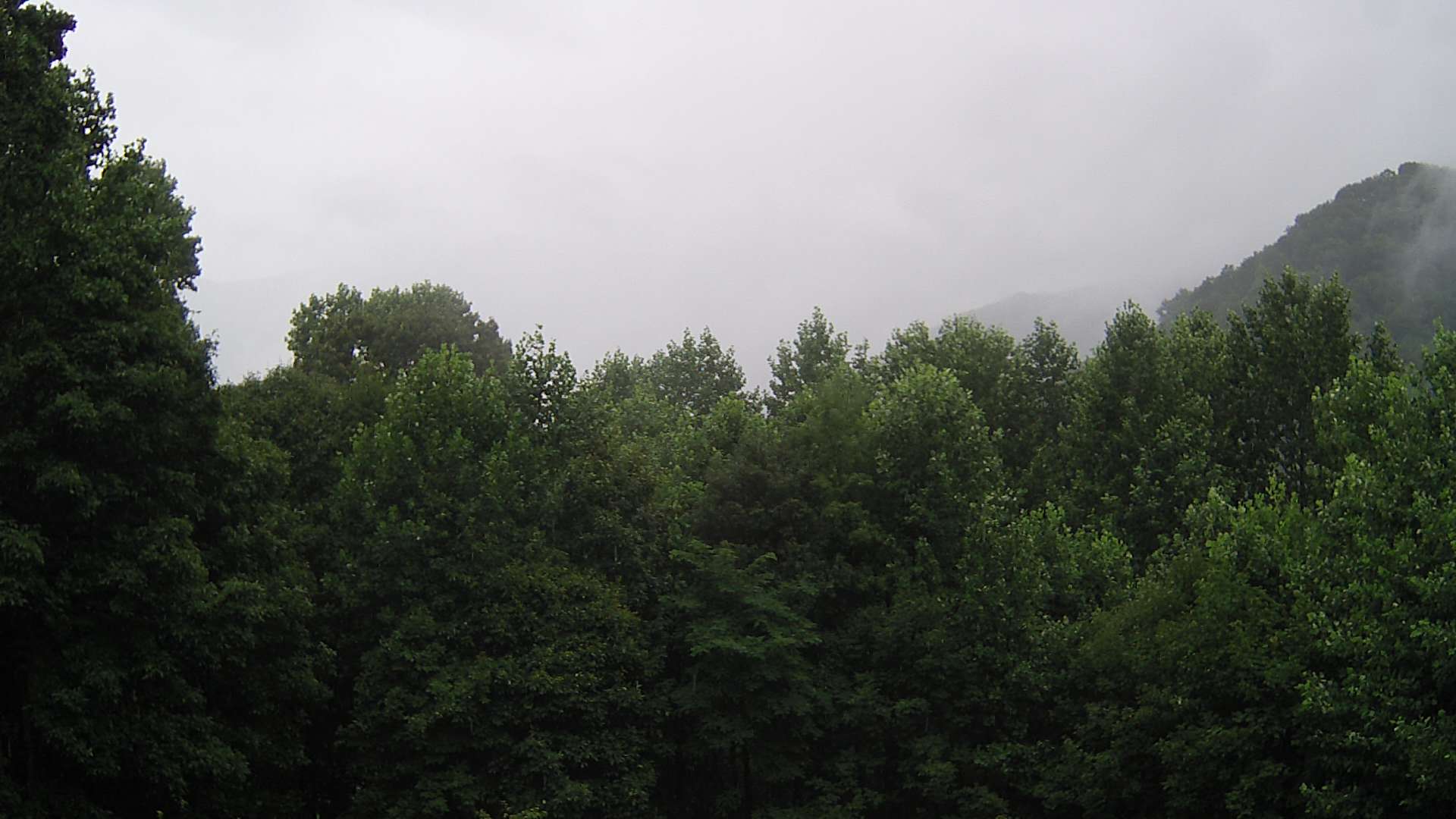 click for next image... slideshow image