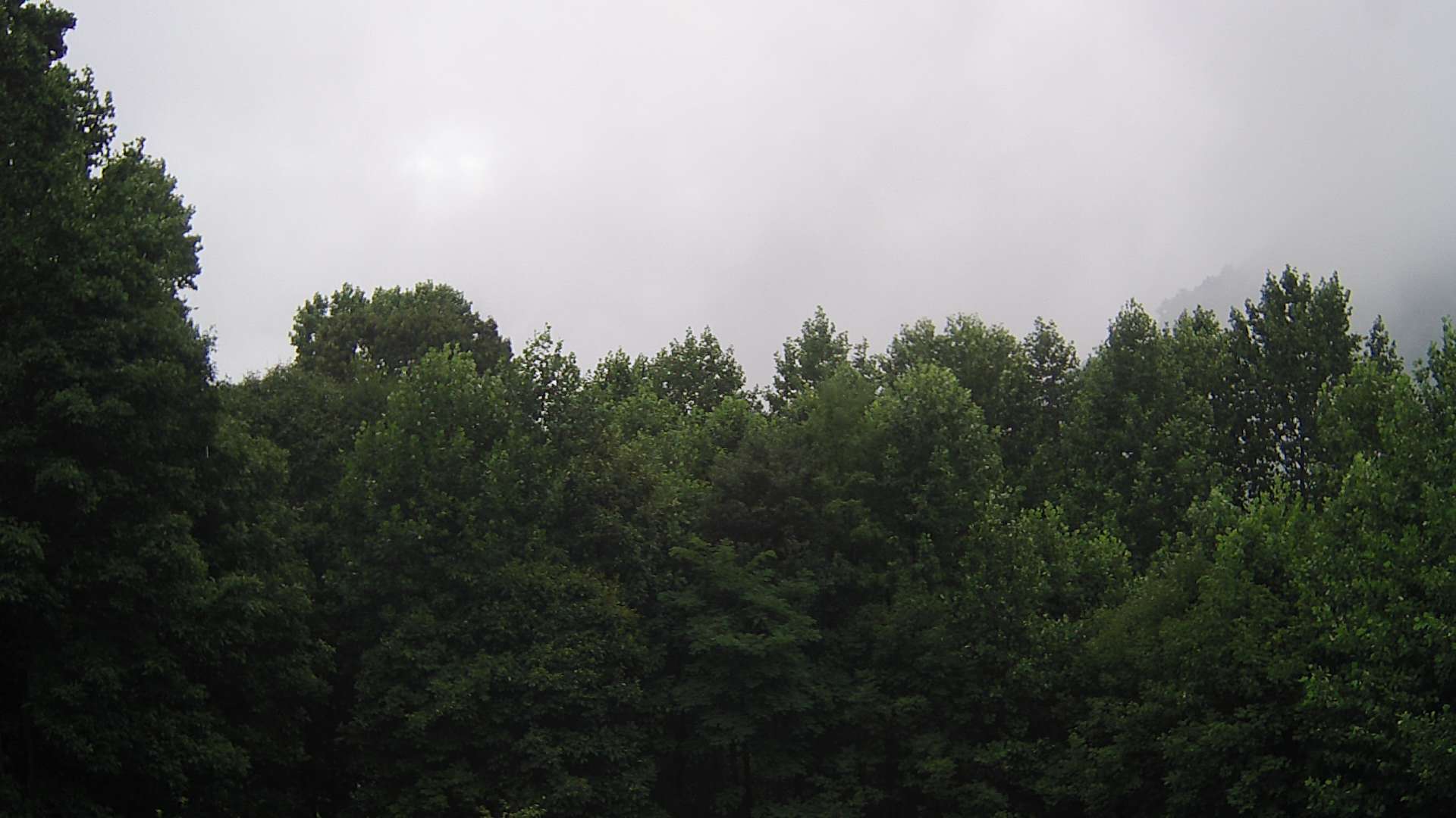 click for next image... slideshow image