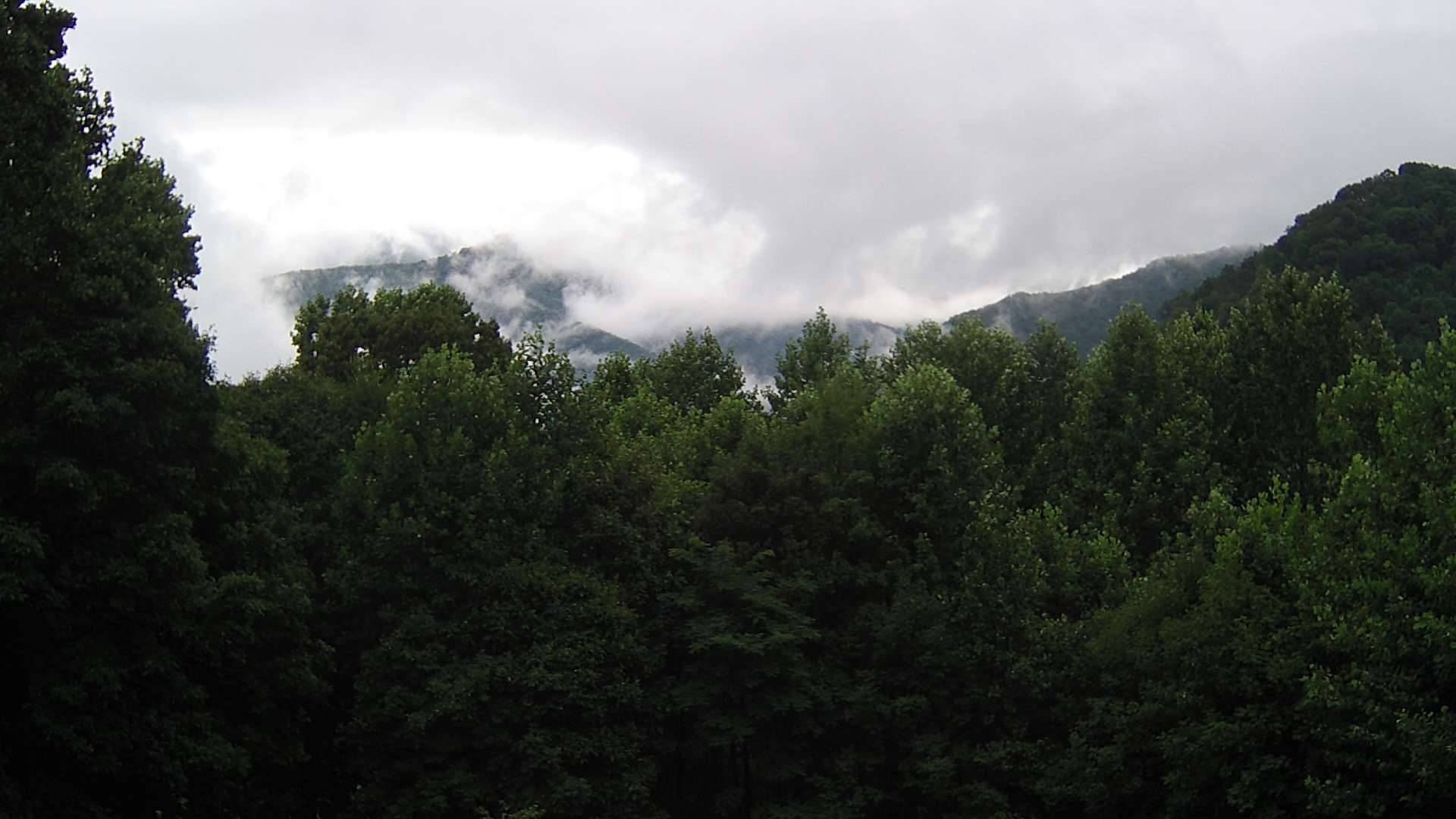 click for next image... slideshow image