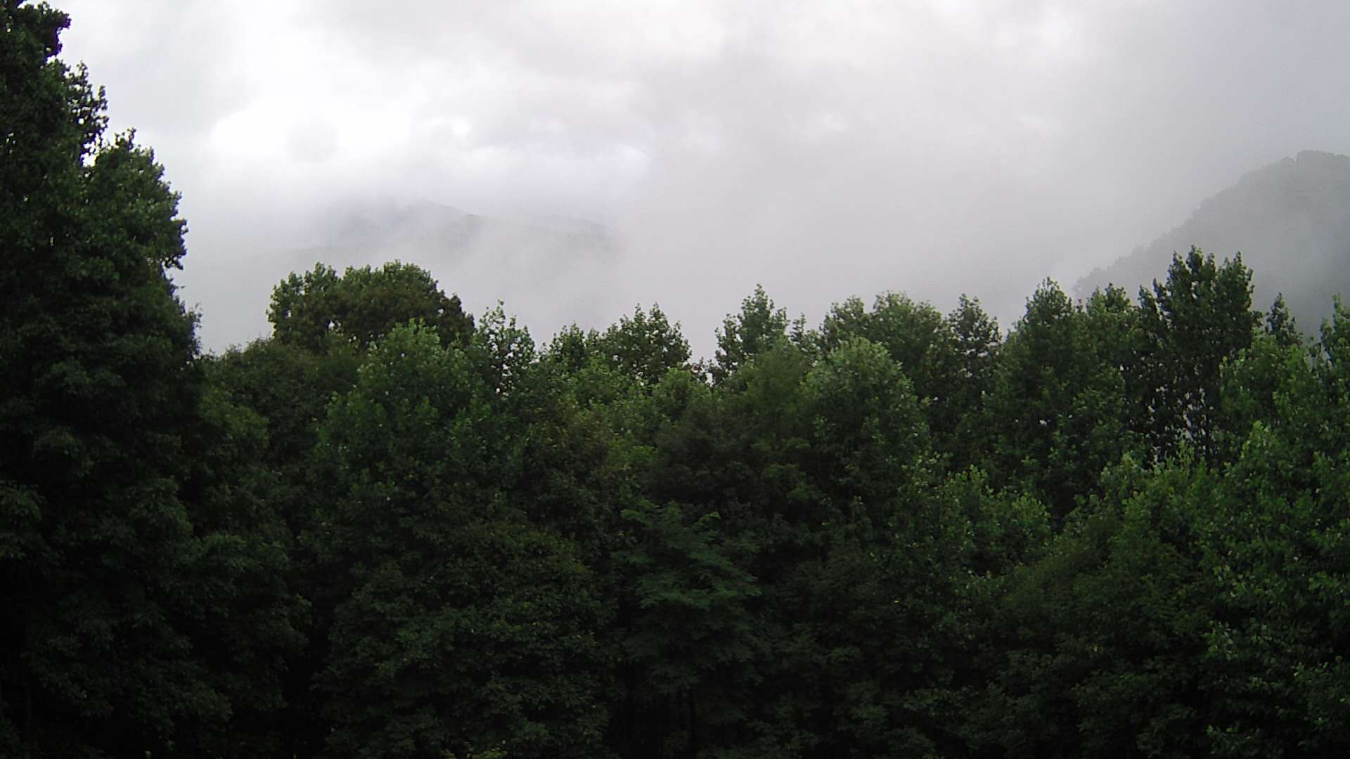 click for next image... slideshow image