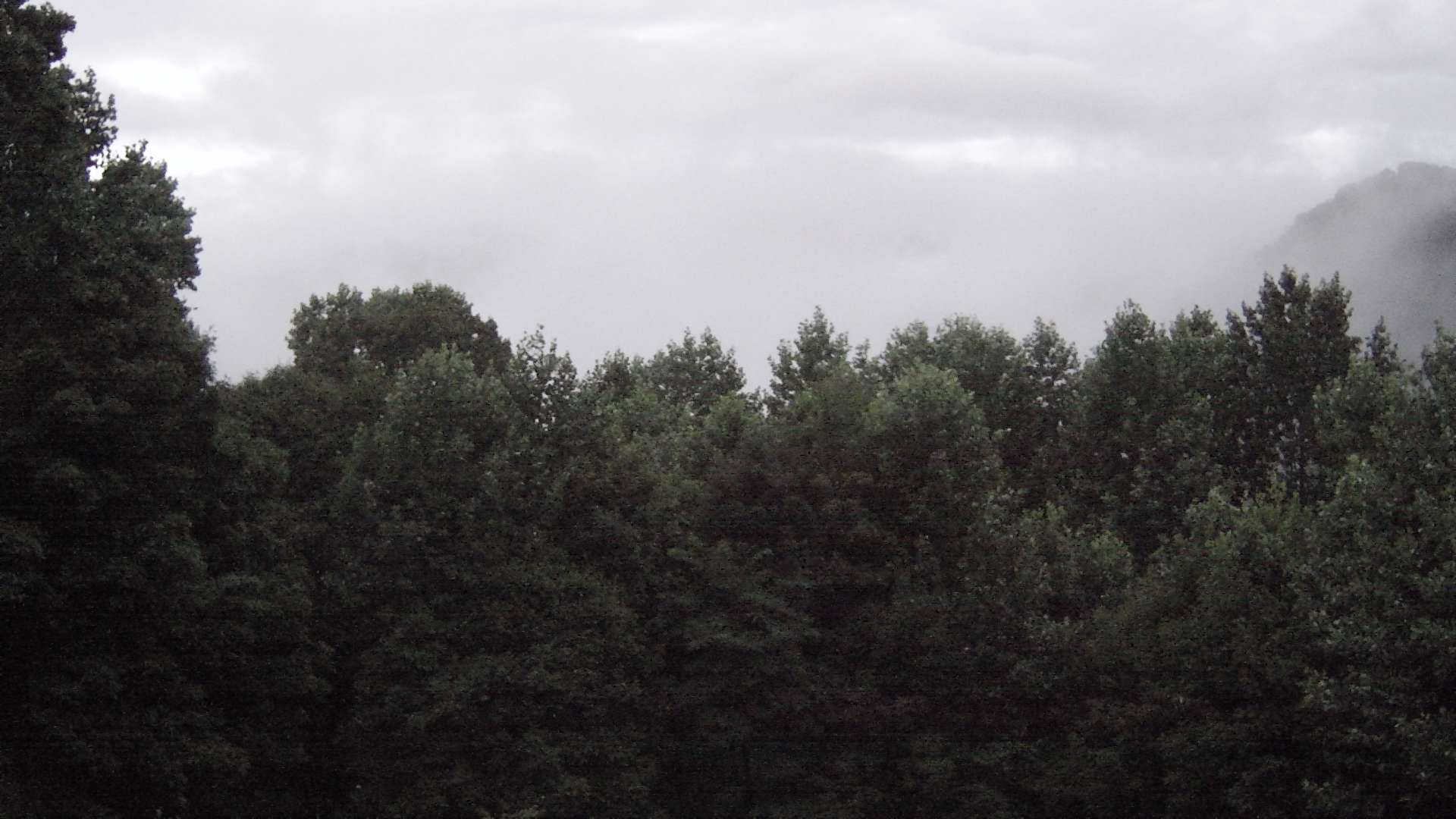 click for next image... slideshow image