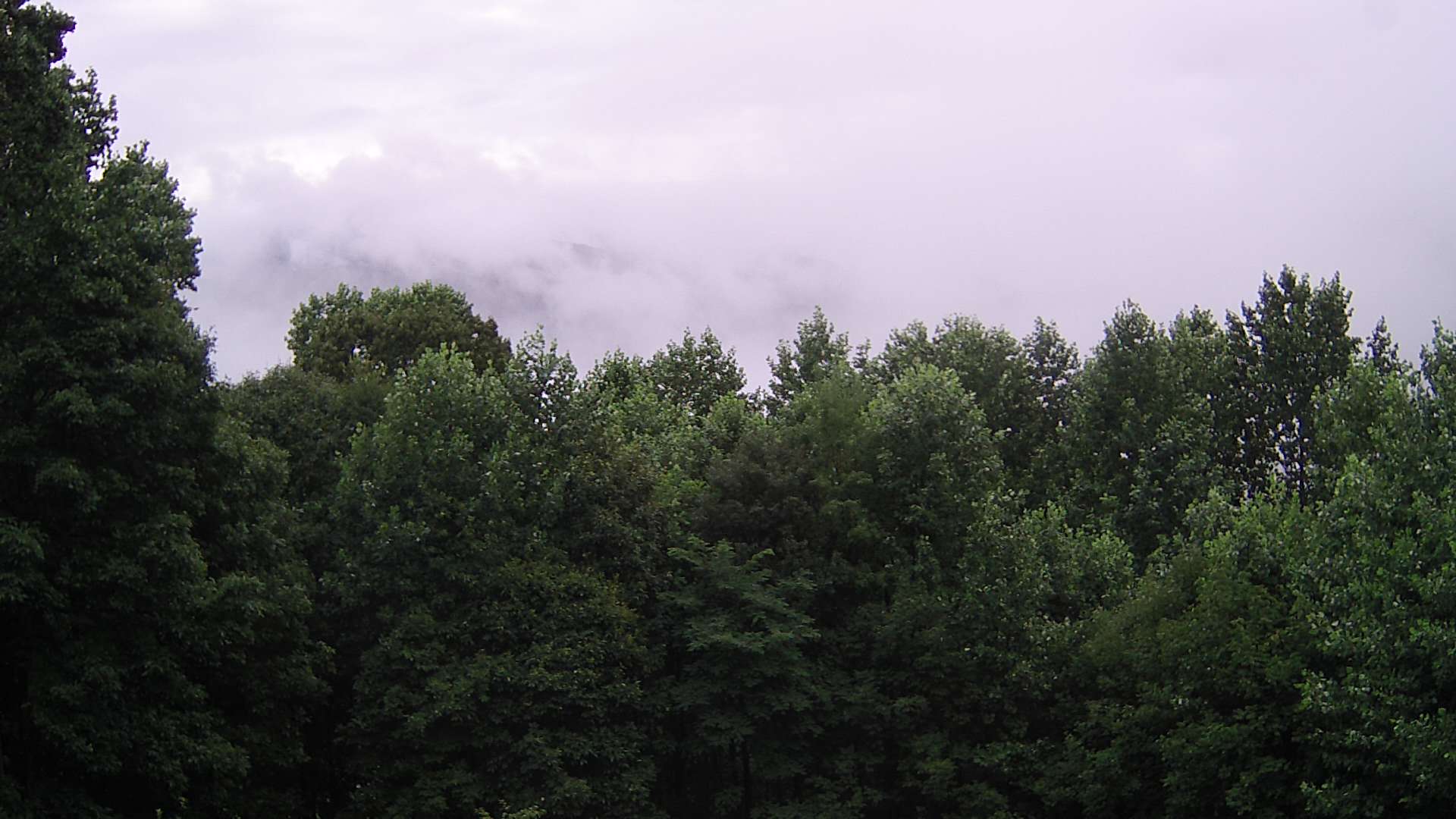 click for next image... slideshow image