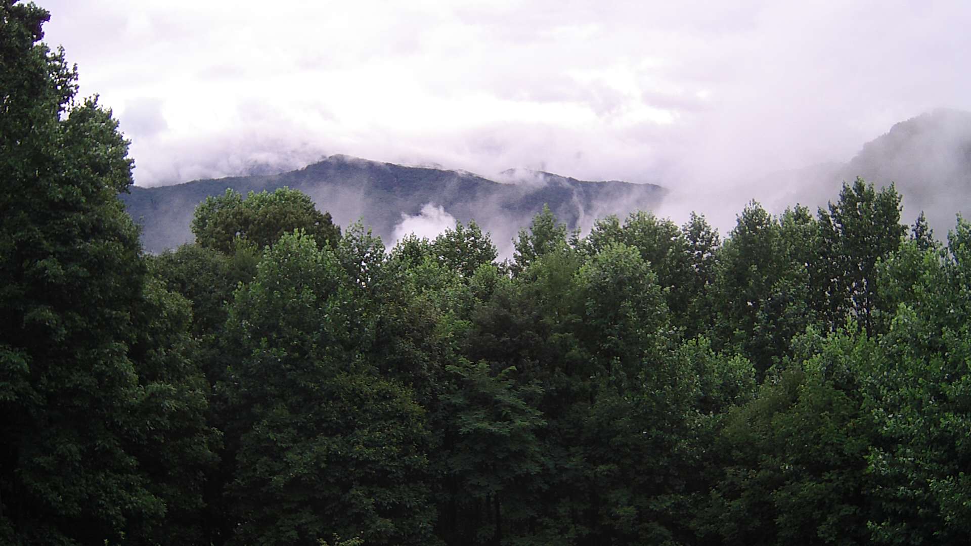 click for next image... slideshow image