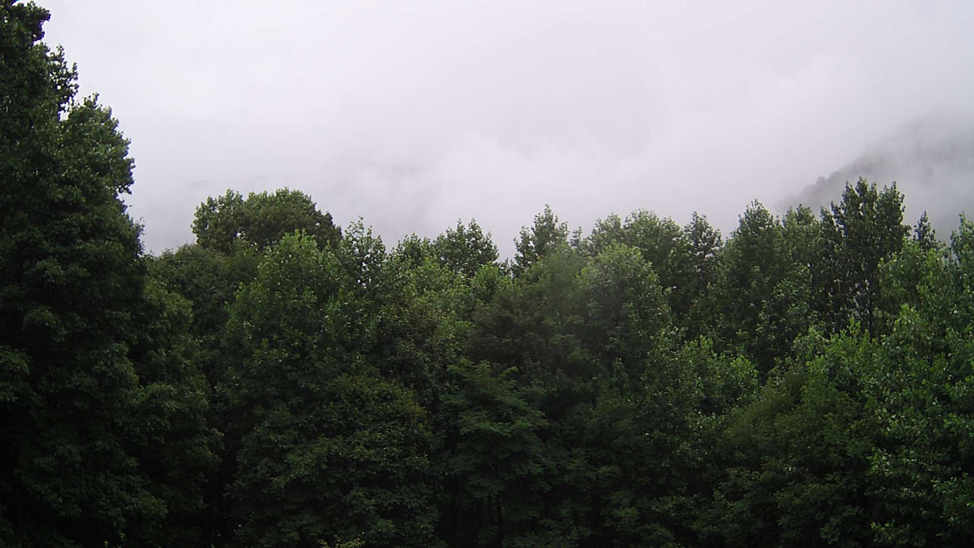 click for next image... slideshow image