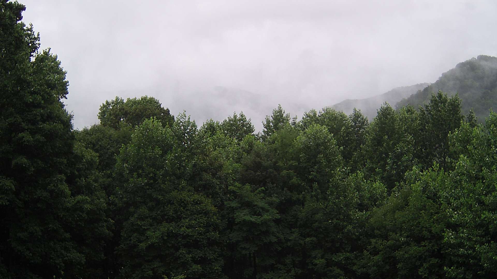click for next image... slideshow image