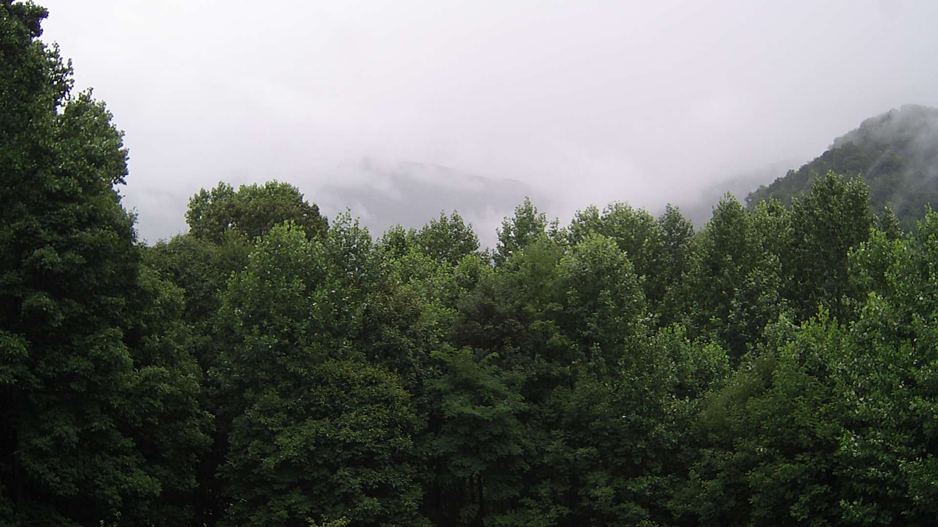 click for next image... slideshow image