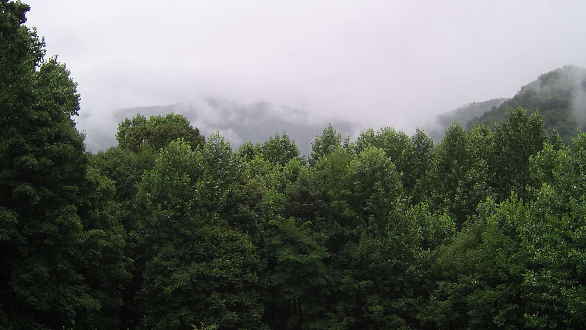 click for next image... slideshow image