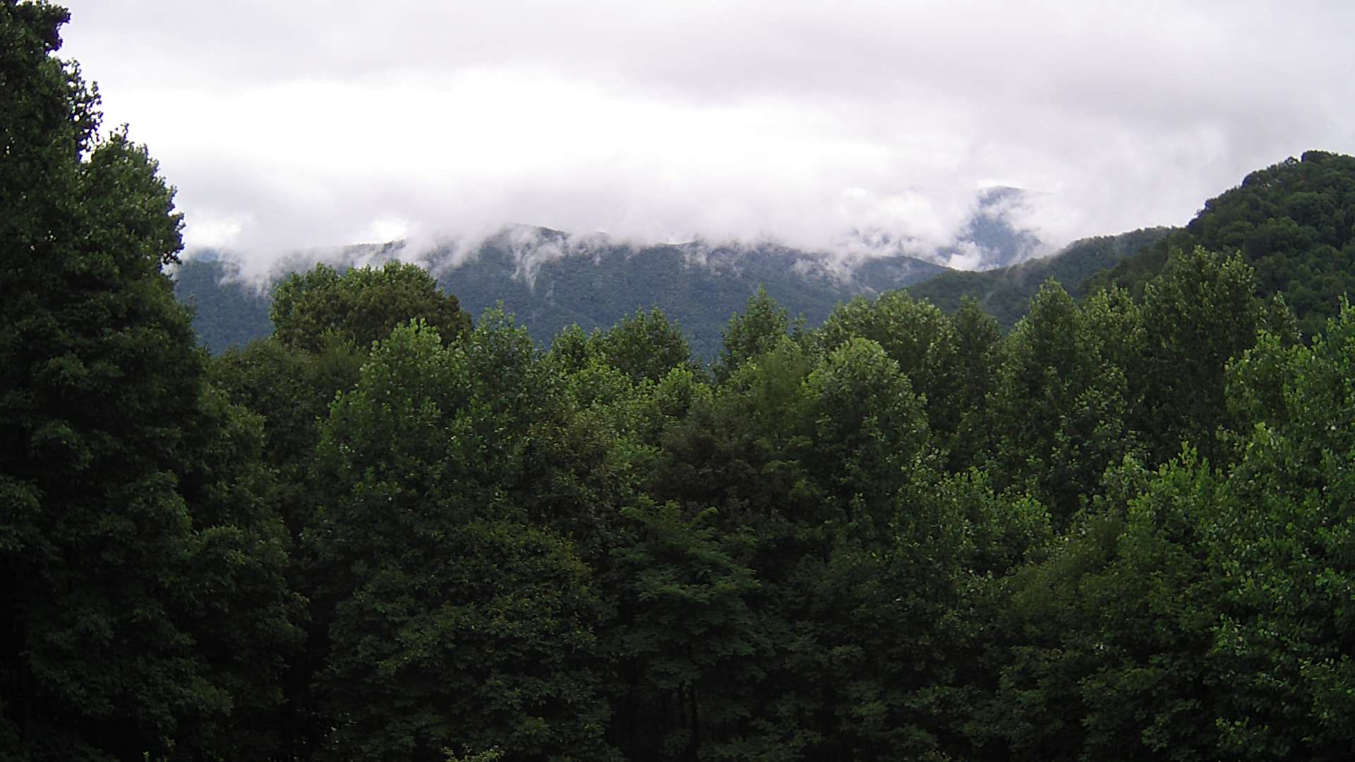 click for next image... slideshow image