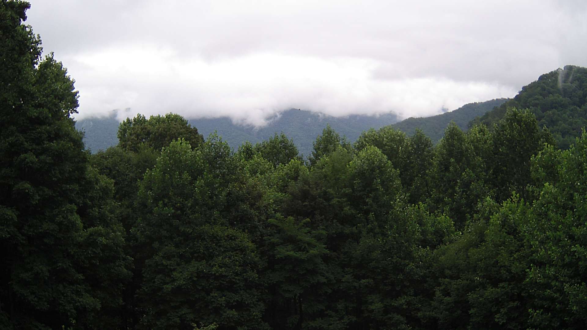 click for next image... slideshow image
