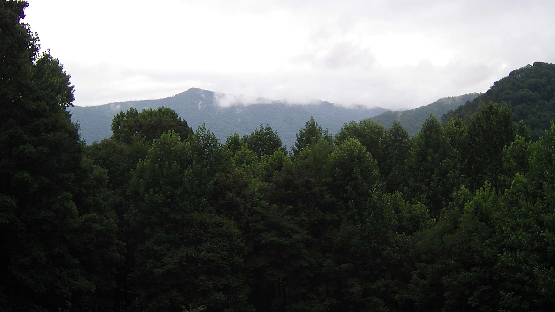 click for next image... slideshow image