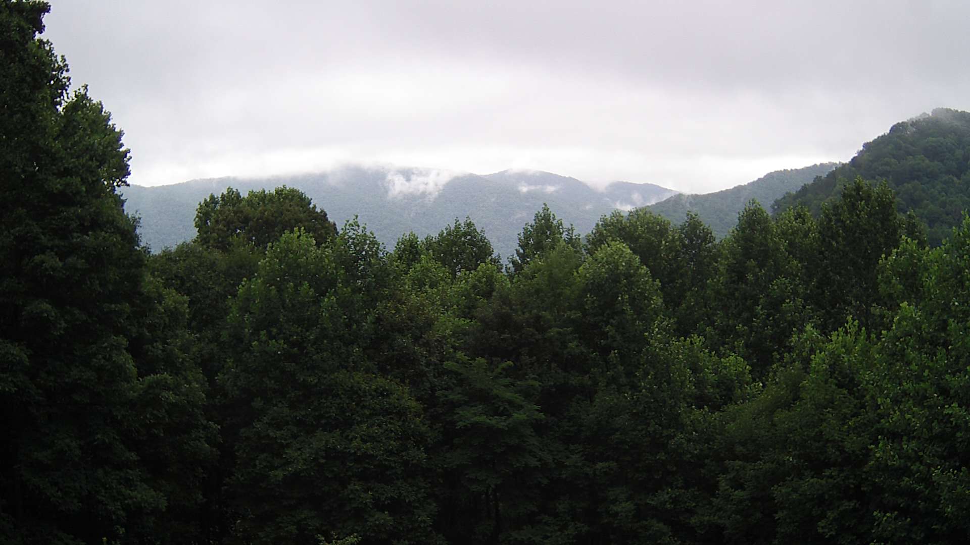 click for next image... slideshow image