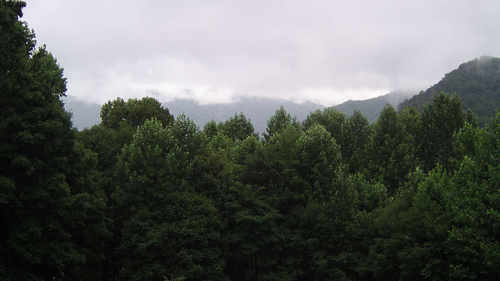 click for next image... slideshow image