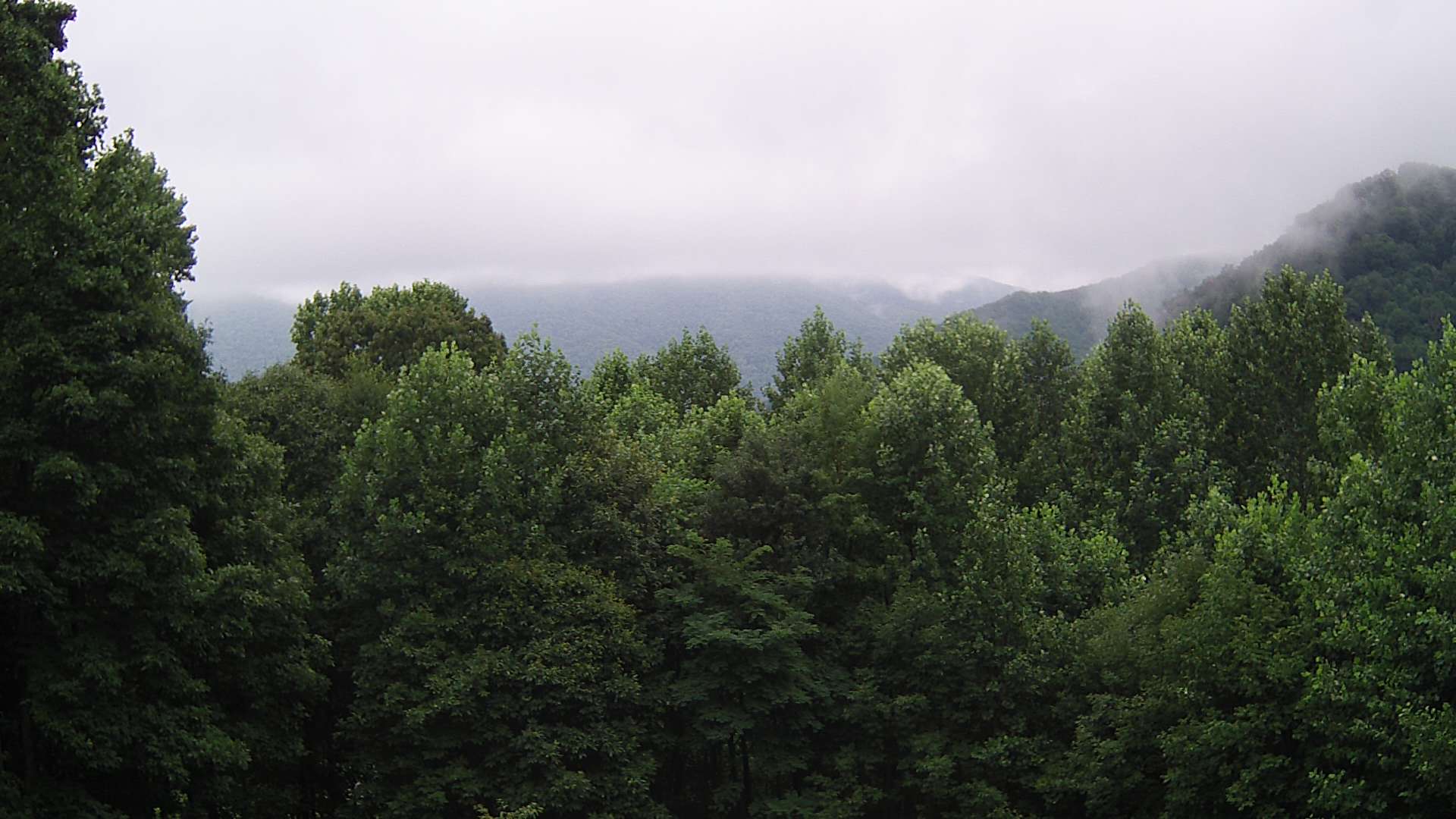click for next image... slideshow image