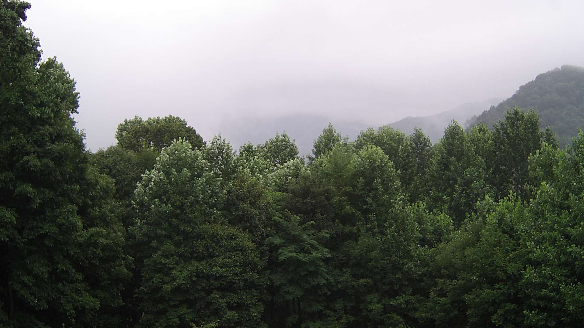 click for next image... slideshow image