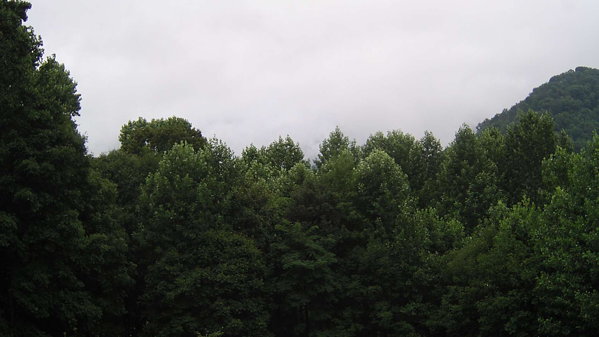 click for next image... slideshow image