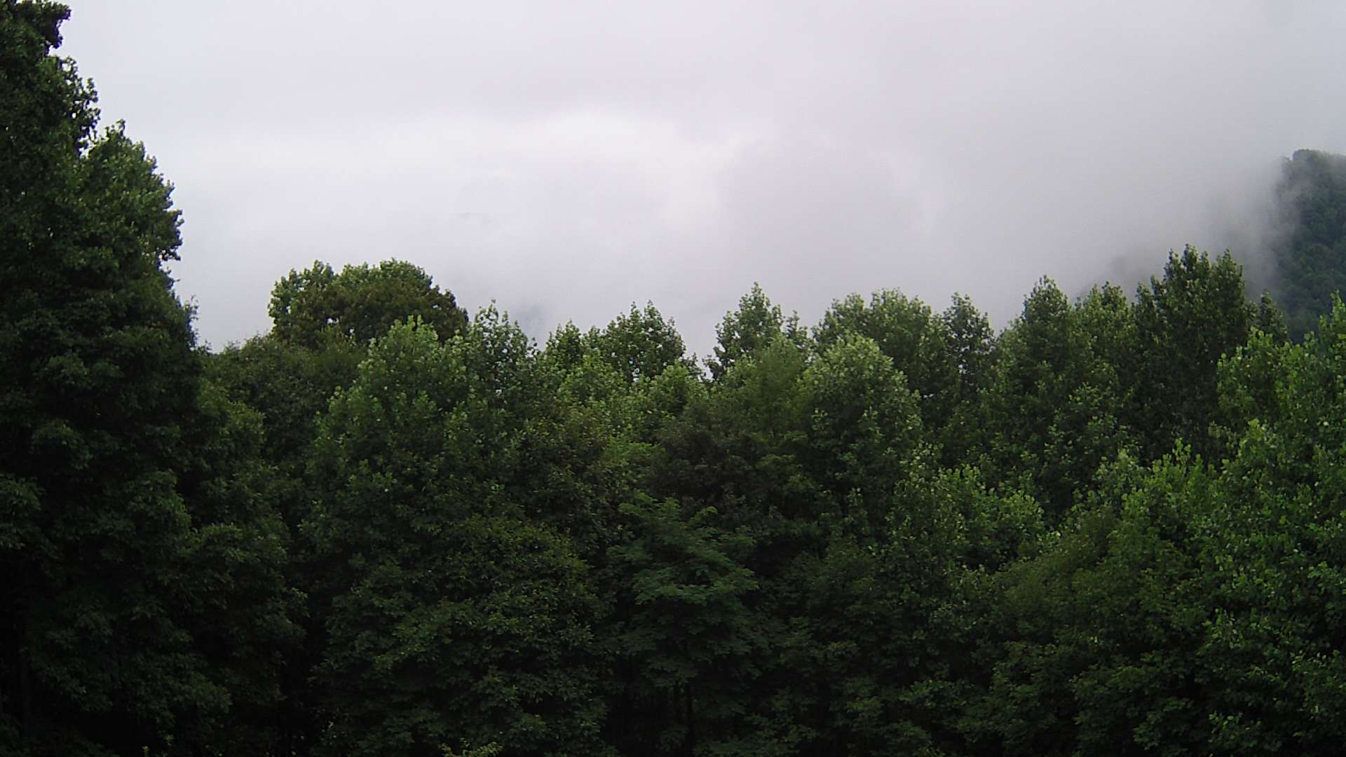 click for next image... slideshow image
