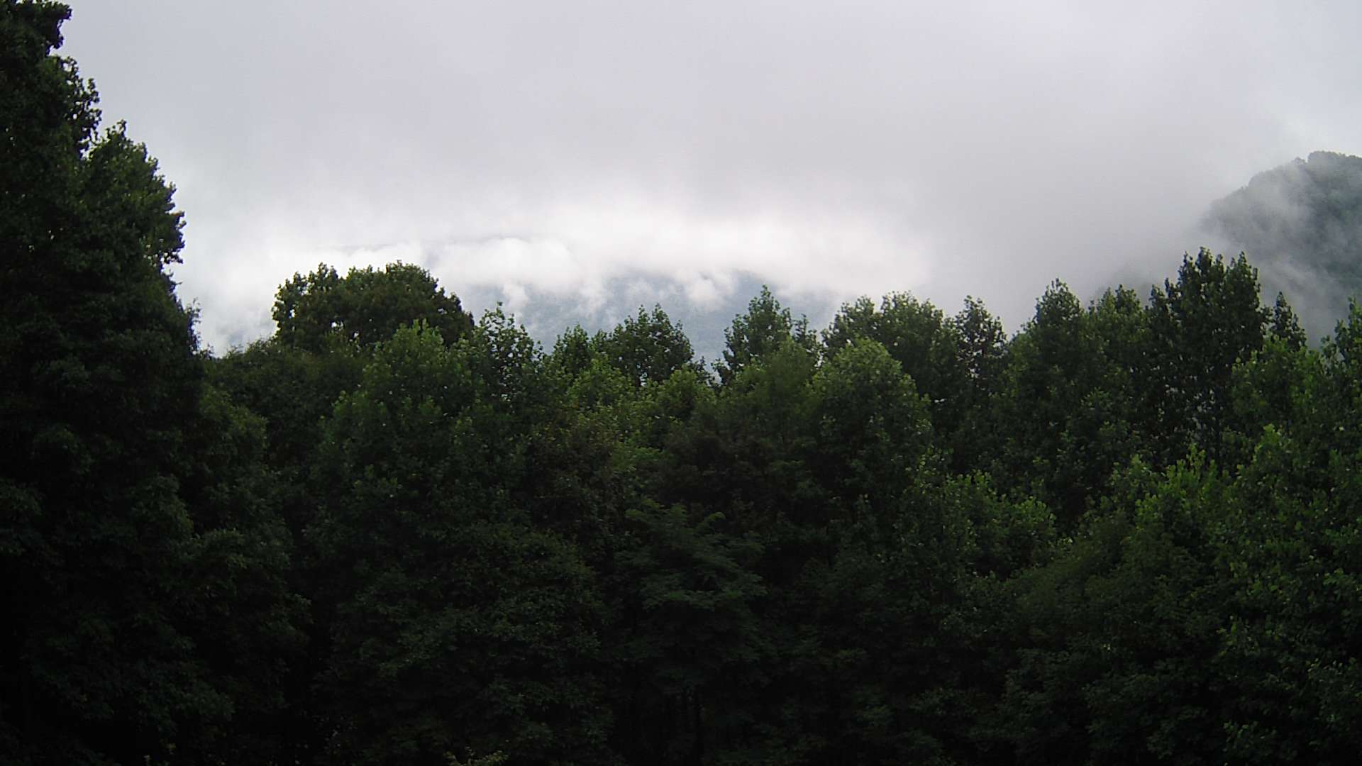click for next image... slideshow image