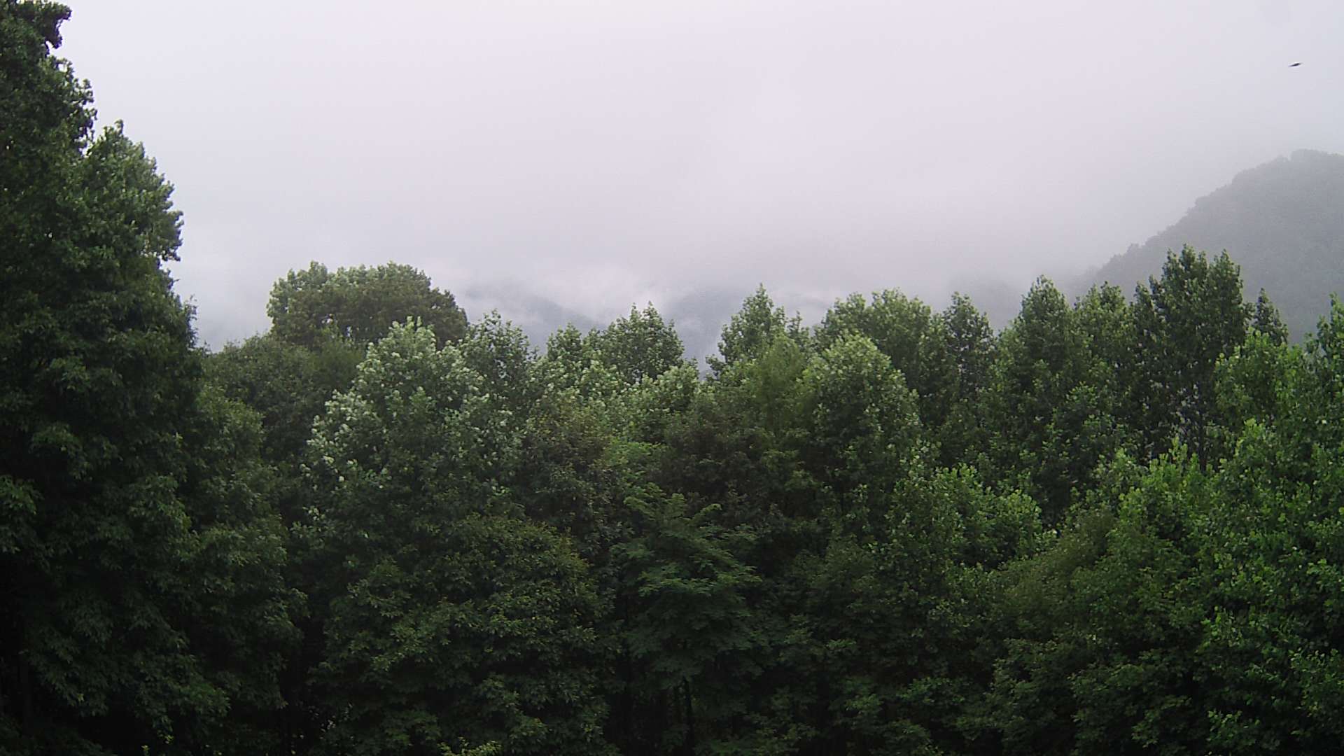 click for next image... slideshow image
