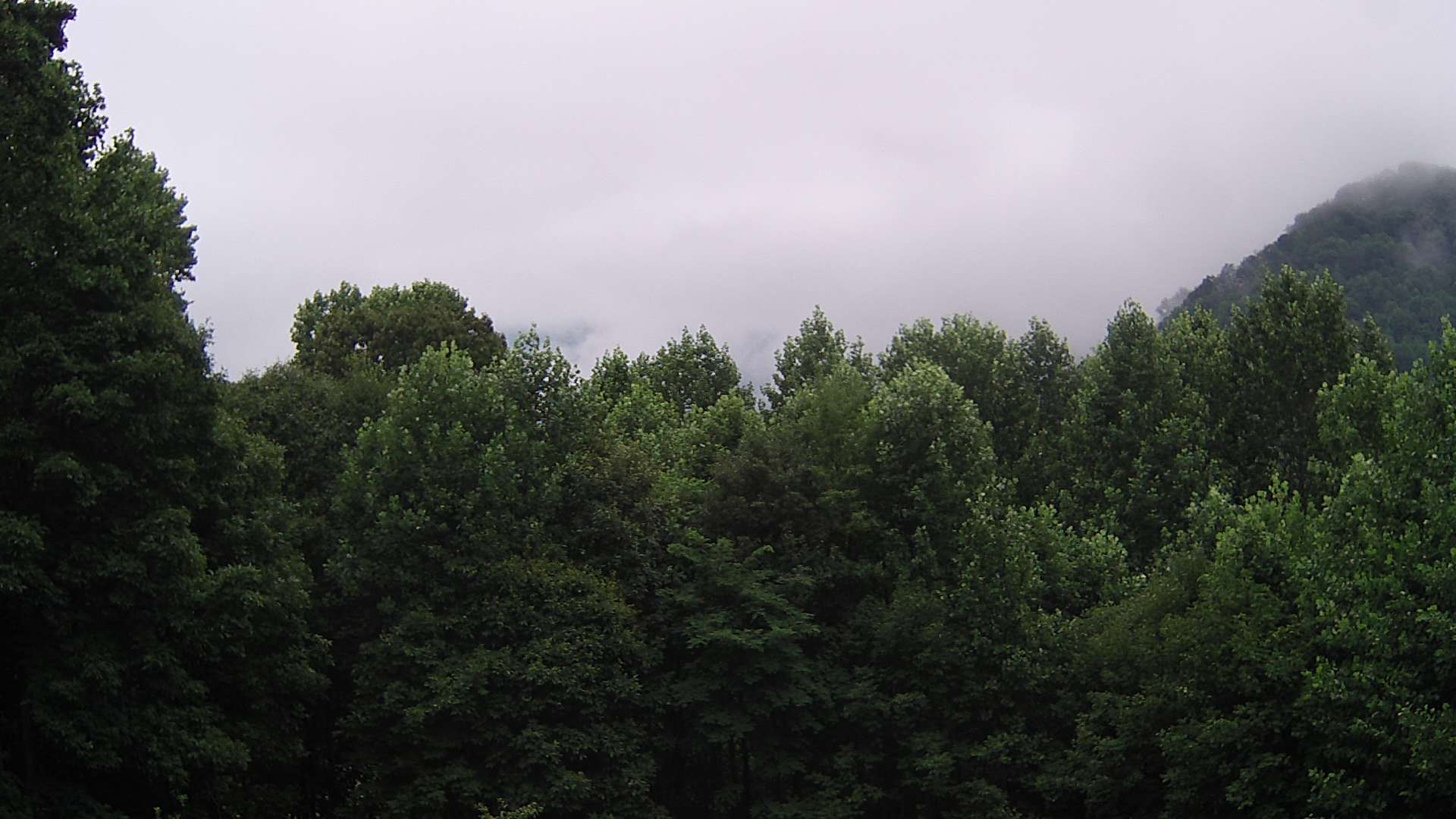 click for next image... slideshow image