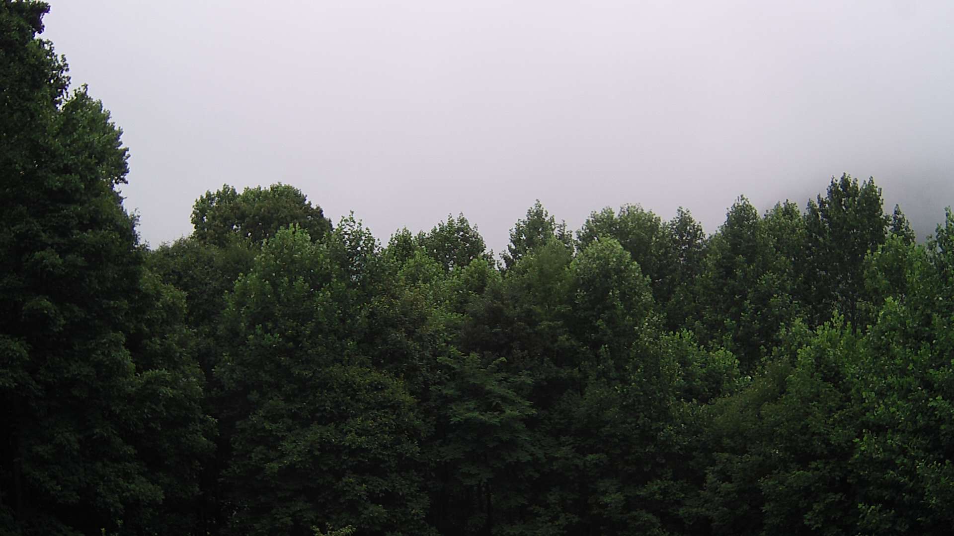 click for next image... slideshow image
