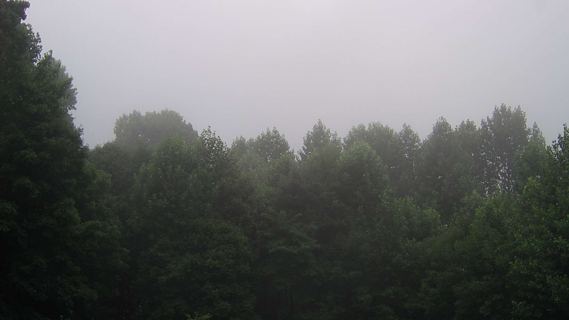 click for next image... slideshow image