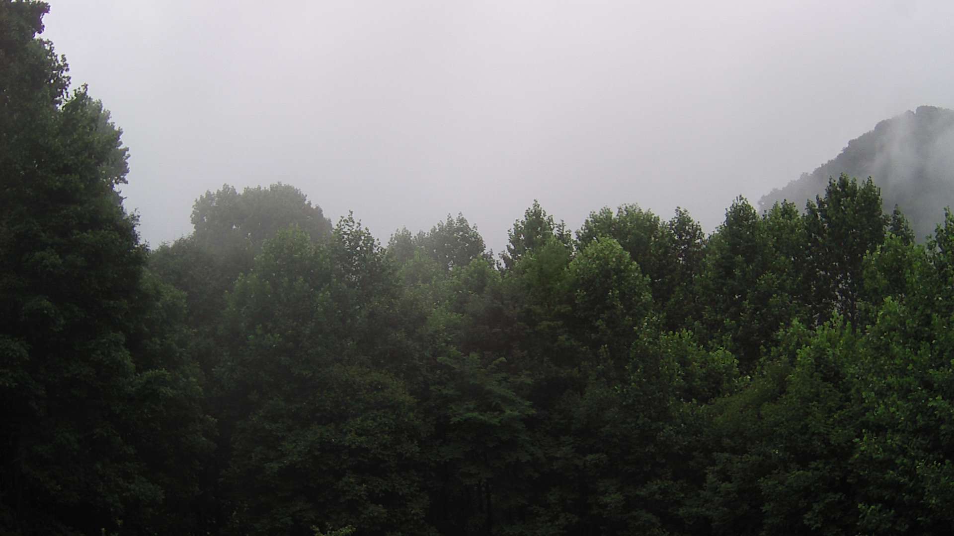 click for next image... slideshow image