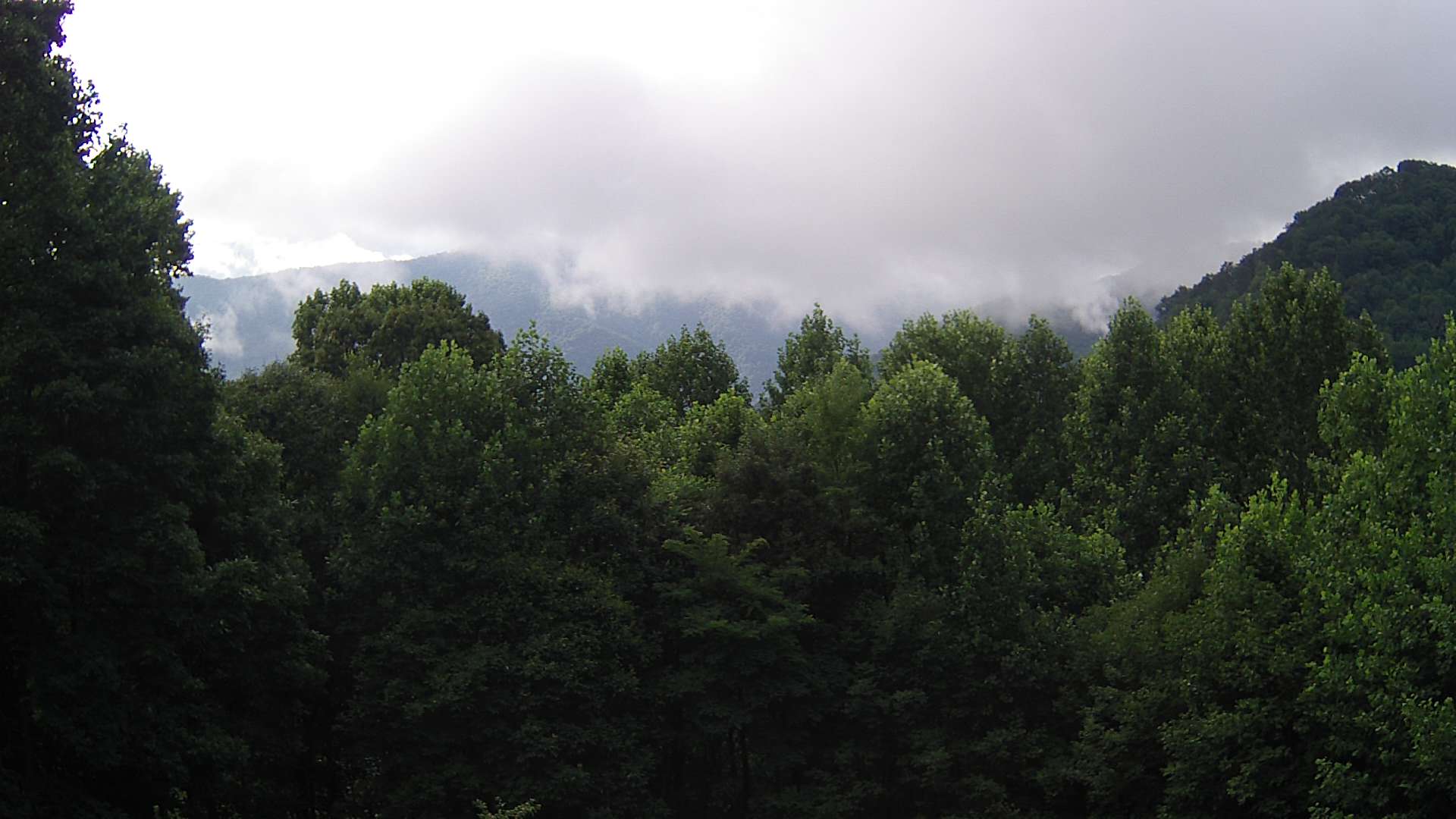 click for next image... slideshow image