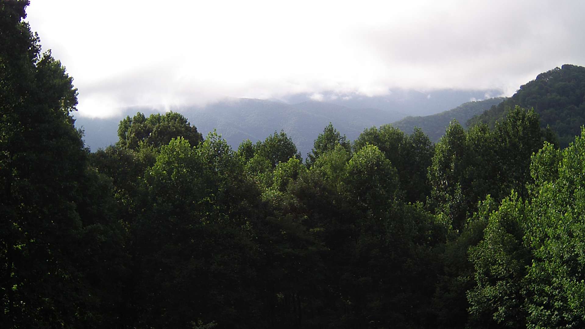 click for next image... slideshow image
