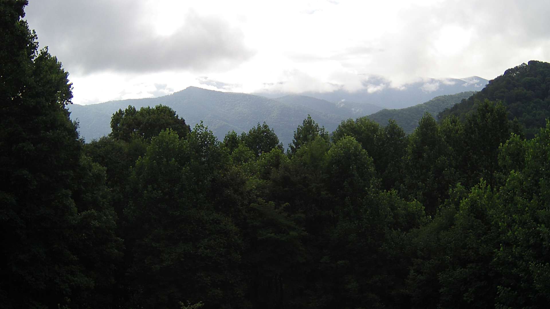 click for next image... slideshow image