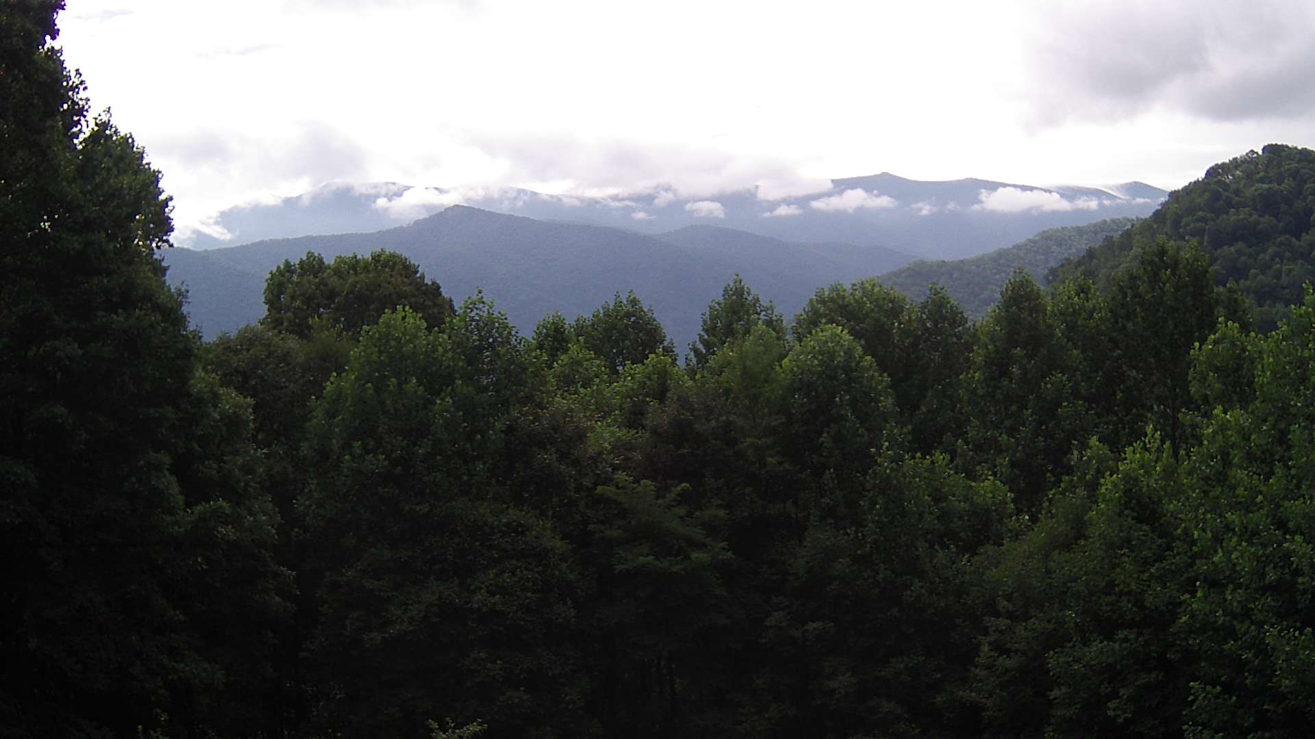 click for next image... slideshow image