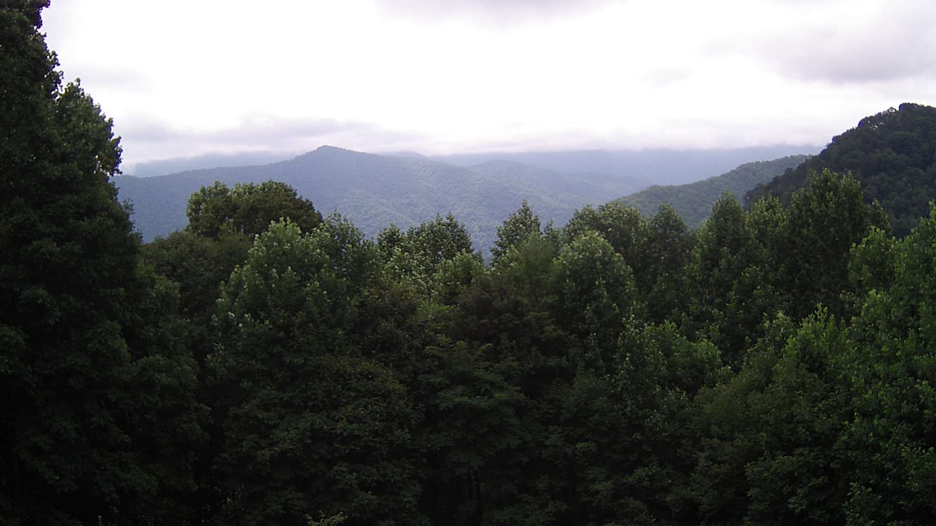 click for next image... slideshow image