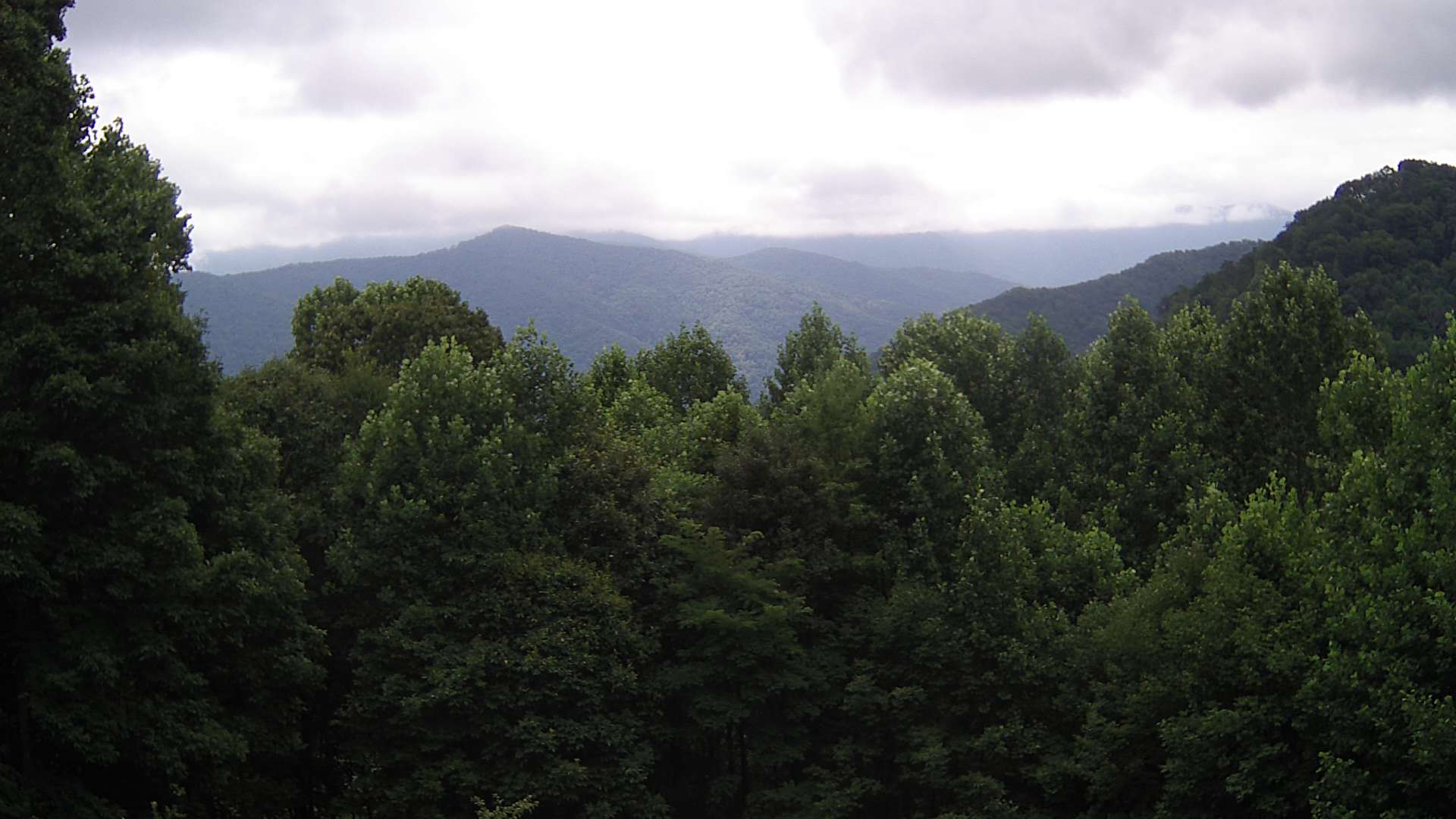 click for next image... slideshow image