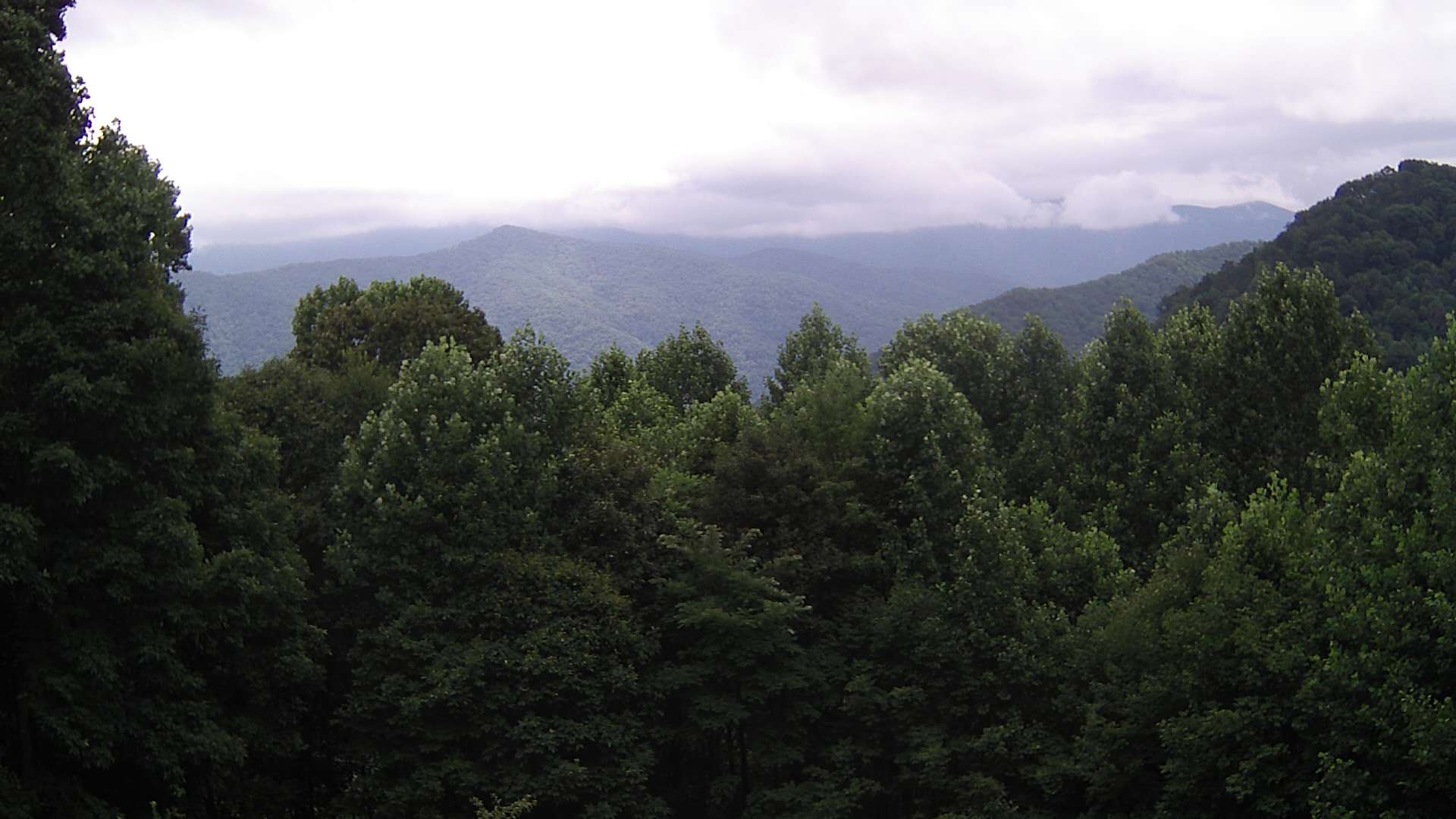 click for next image... slideshow image