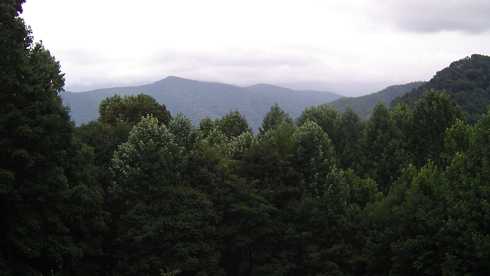click for next image... slideshow image