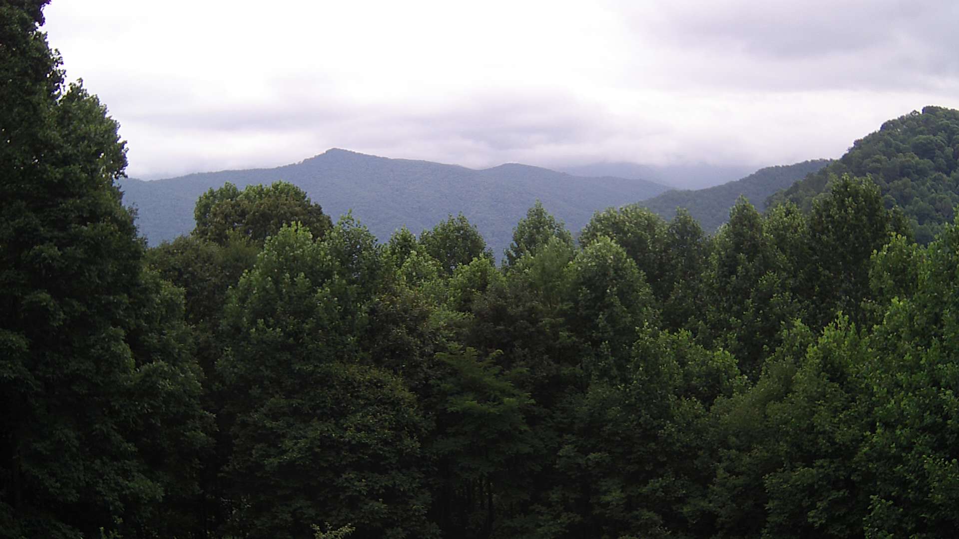 click for next image... slideshow image