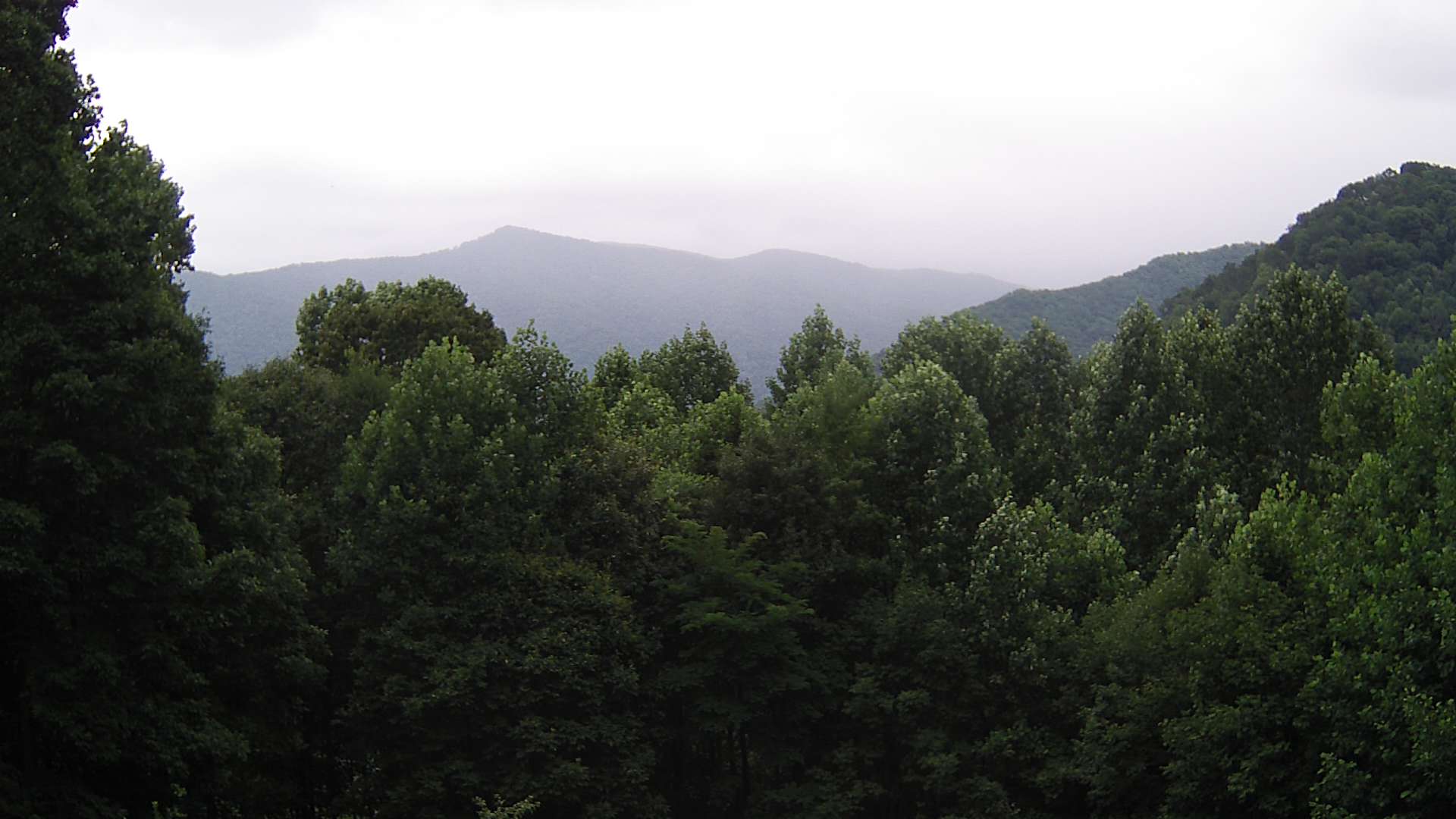 click for next image... slideshow image