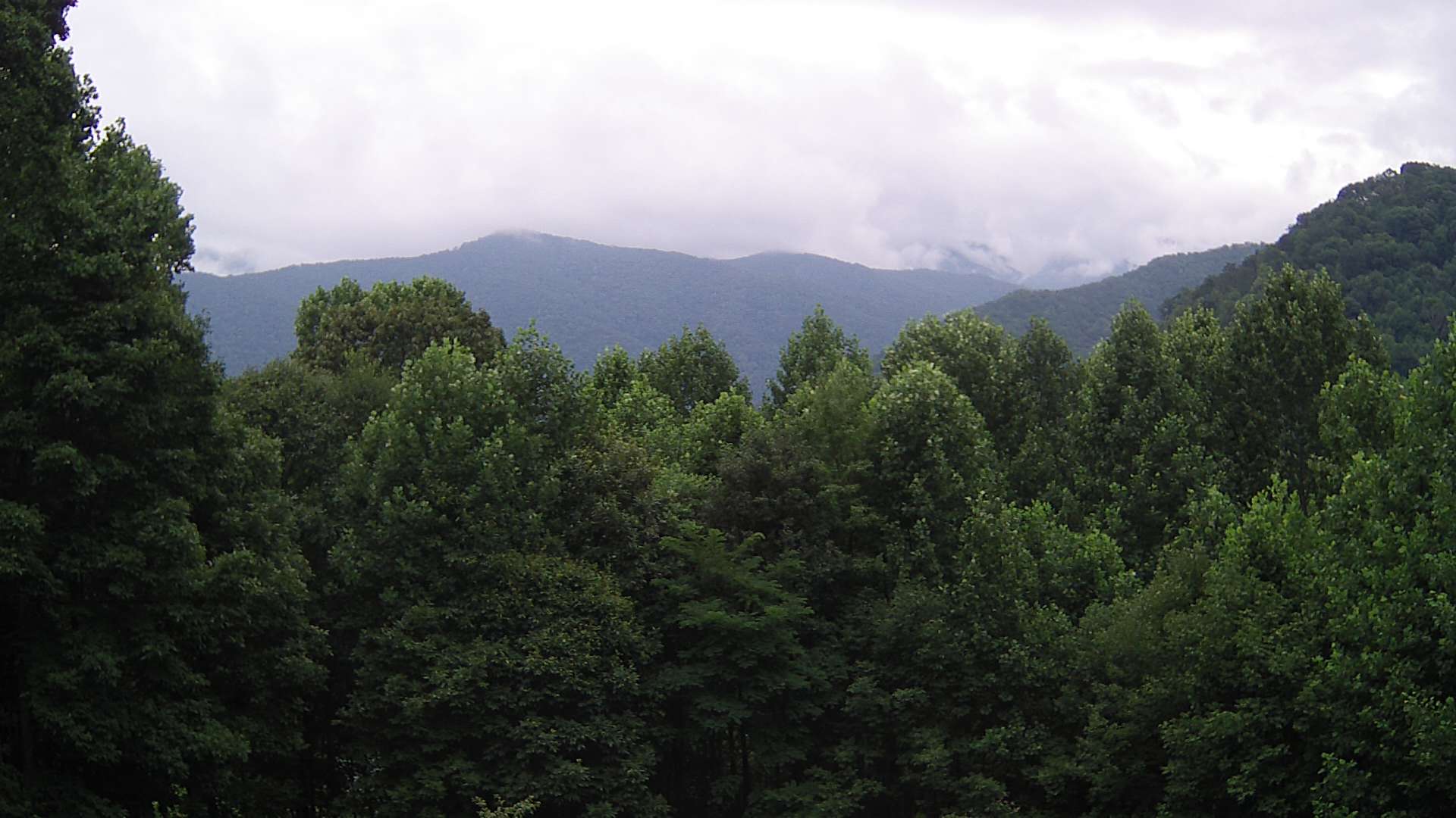 click for next image... slideshow image