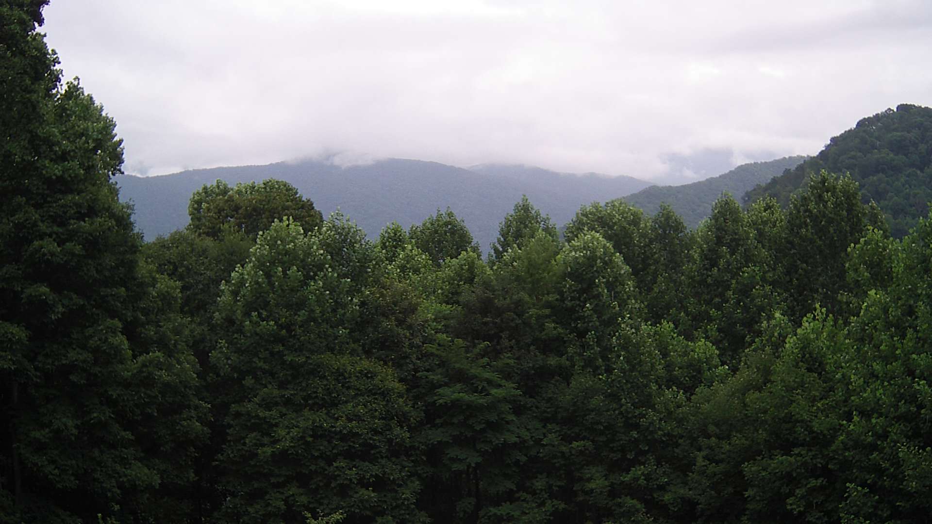 click for next image... slideshow image