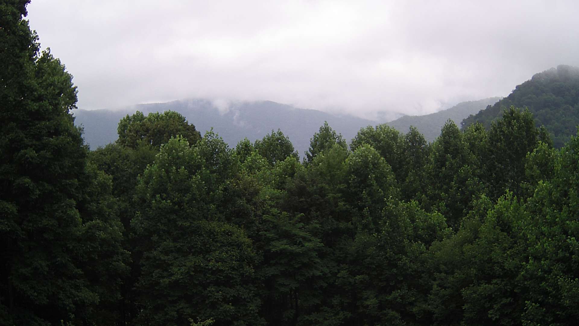 click for next image... slideshow image