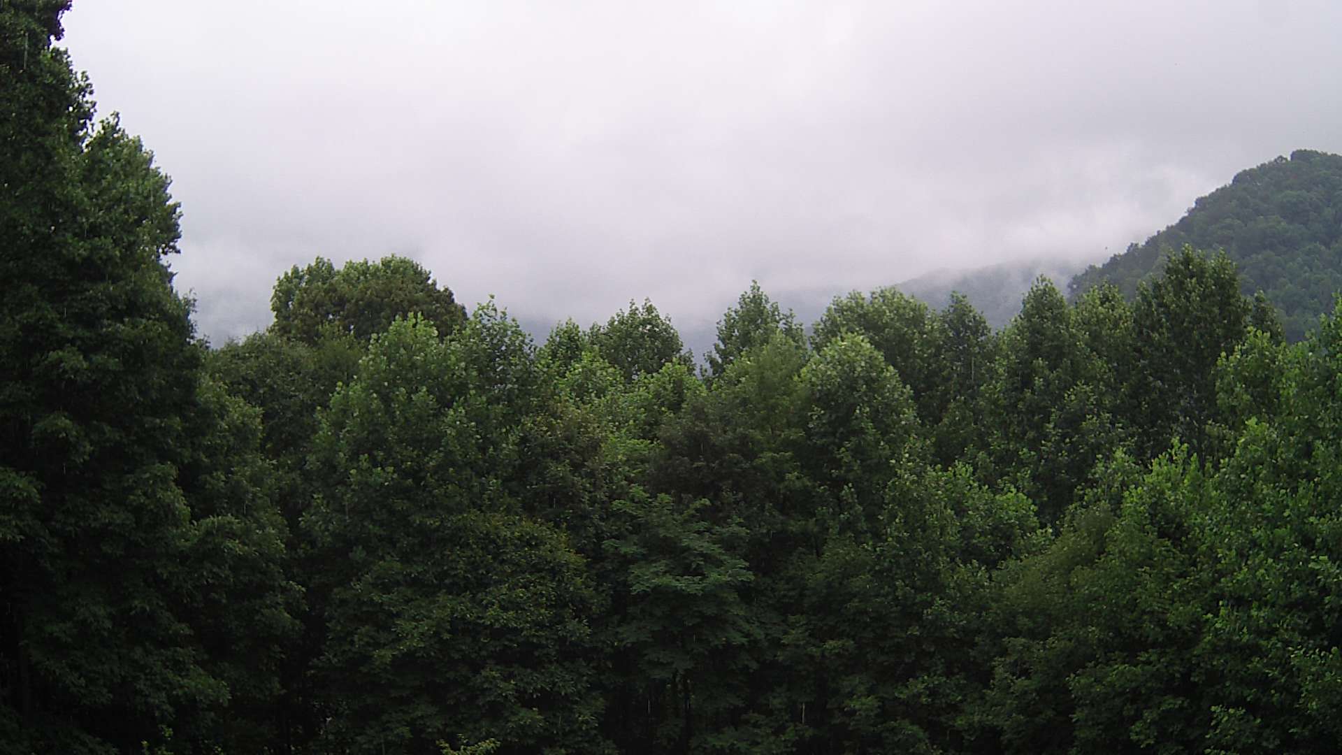 click for next image... slideshow image