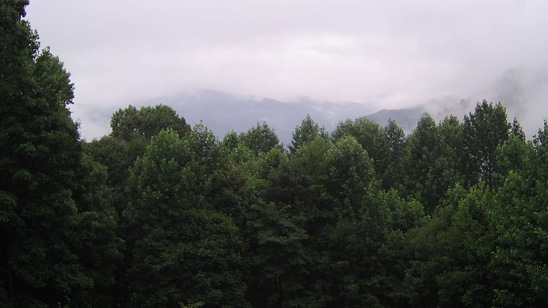 click for next image... slideshow image