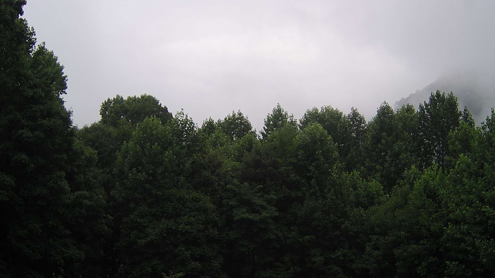 click for next image... slideshow image